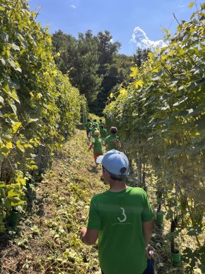 fattoria didattica1-min